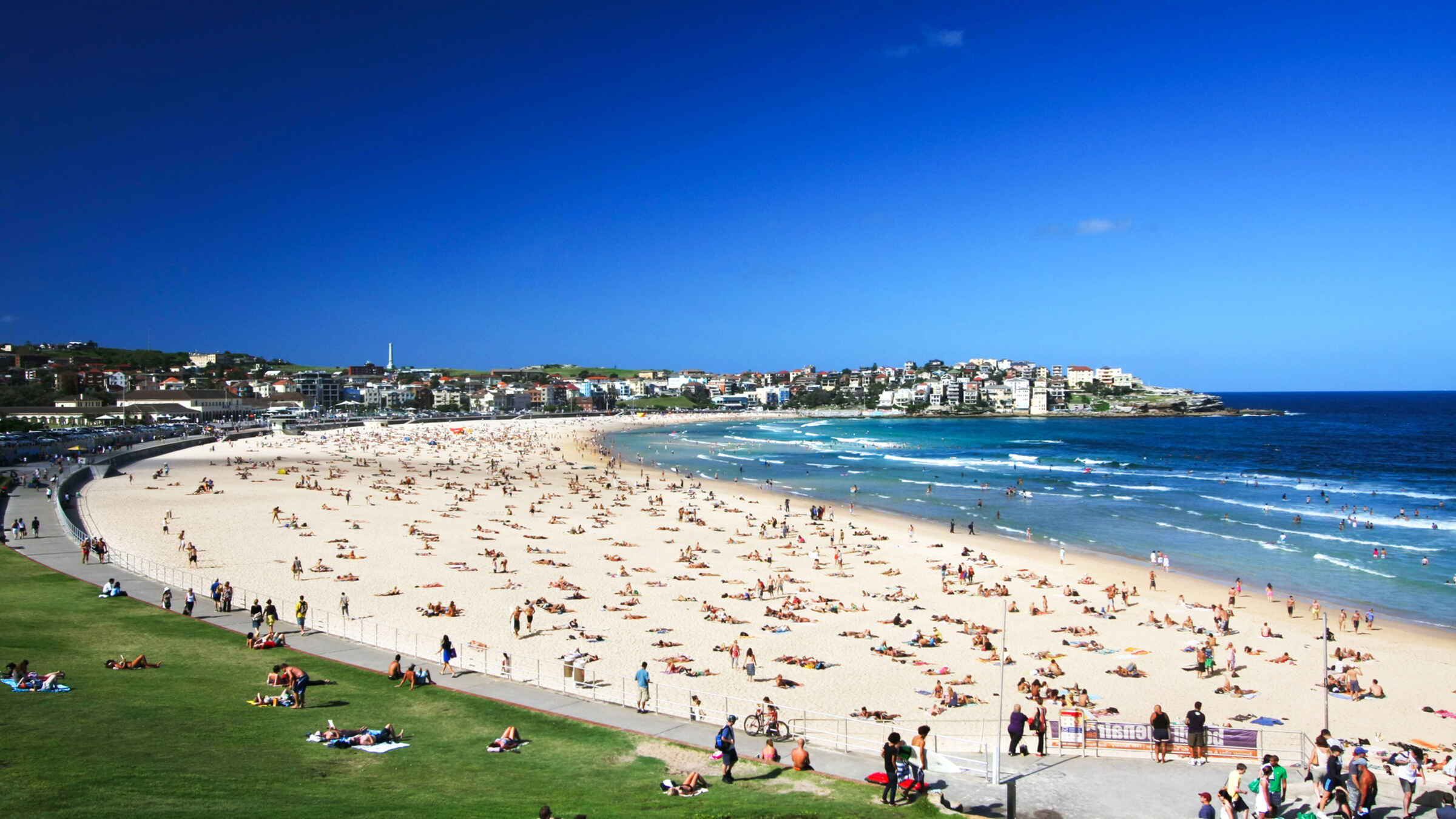 Sydney Harbour Hike : Bondi to Bridge